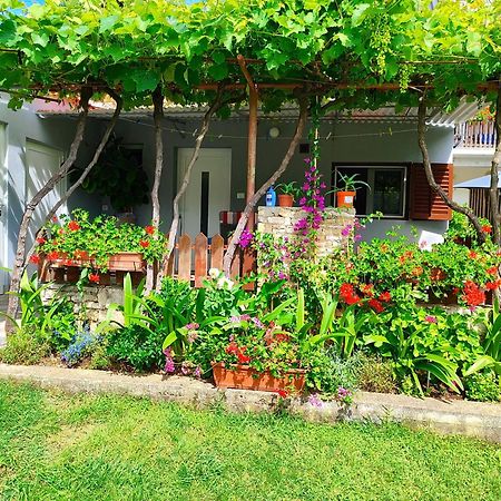 Apartments Pavao 1402 Pula Dış mekan fotoğraf